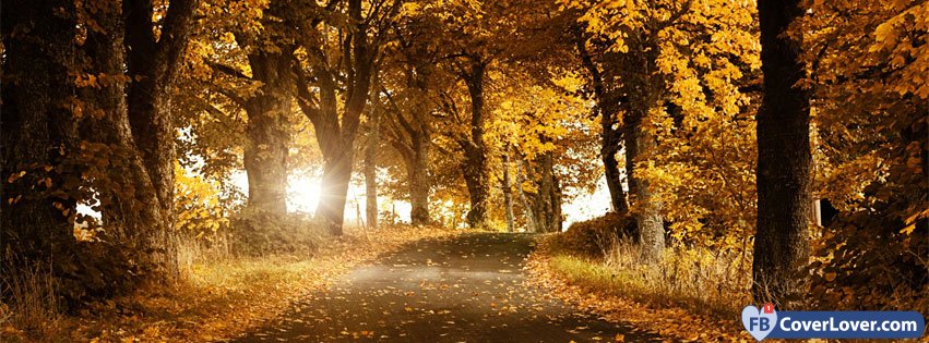 10-21-2016-autumn-forest-3-facebook-covers-fbcoverlover_facebook_cover