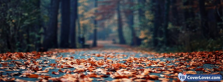 10-21-2016-autumn-forest-leaves-facebook-covers-fbcoverlover55_facebook_cover