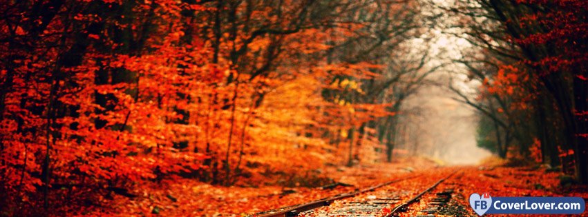 10-21-2016-autumn-forest-and-rails-facebook-covers-fbcoverlover_facebook_cover