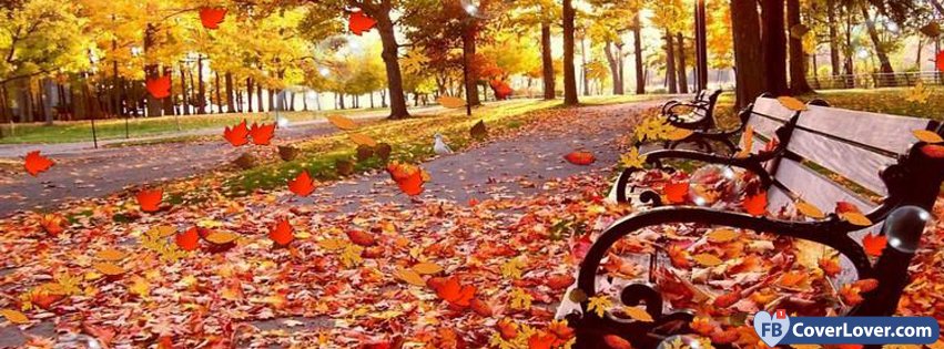 10-21-2016-park-bench-autumn-facebook-covers-fbcoverlover_facebook_cover