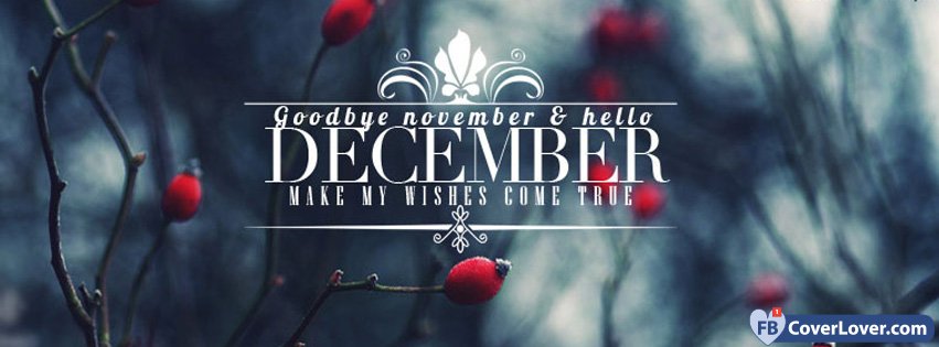 11-30-2016-goodbye-november-hello-december-facebook-covers-fbcoverlover-facebook-cover