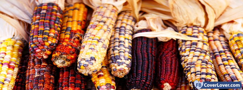 11-07-2016-thanksgiving-corn-facebook-covers-fbcoverlover_facebook_cover